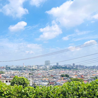 花の香りからの景色